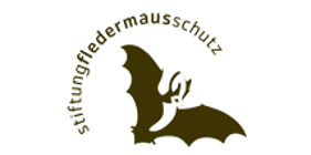 Fledermäuse
