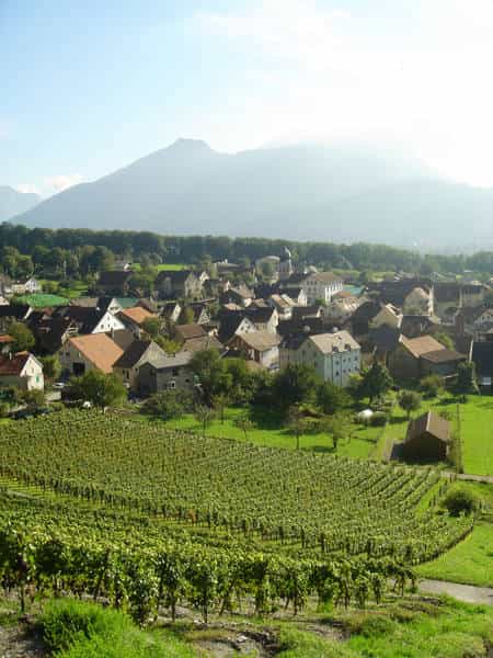Ein Weinbaudorf
