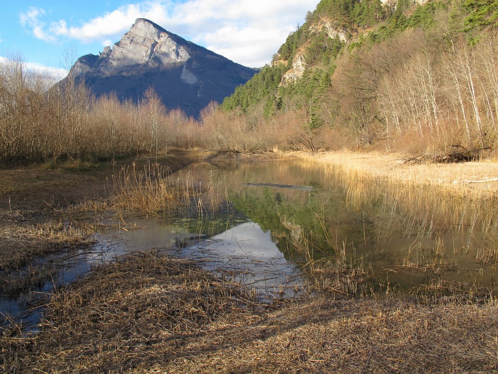 Biotope | Natur und Freizeit | Besuch & Erlebnis | Gemeinde Fläsch